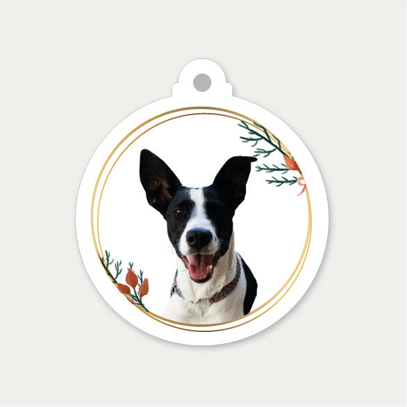 Adornos Navideños Personalizados – 6 Unidades con la Carita de tu Mascota