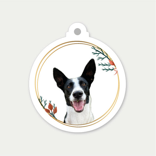 Adornos Navideños Personalizados – 6 Unidades con la Carita de tu Mascota